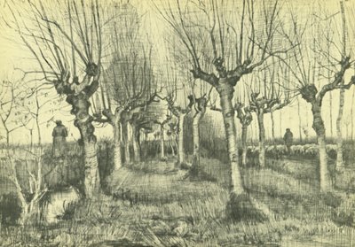 Pollard Birches by Vincent van Gogh